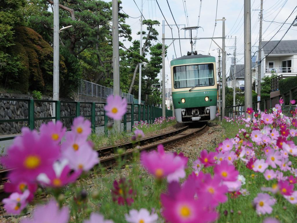Sotetsu Fresa Inn Fujisawa Shonandai Zewnętrze zdjęcie
